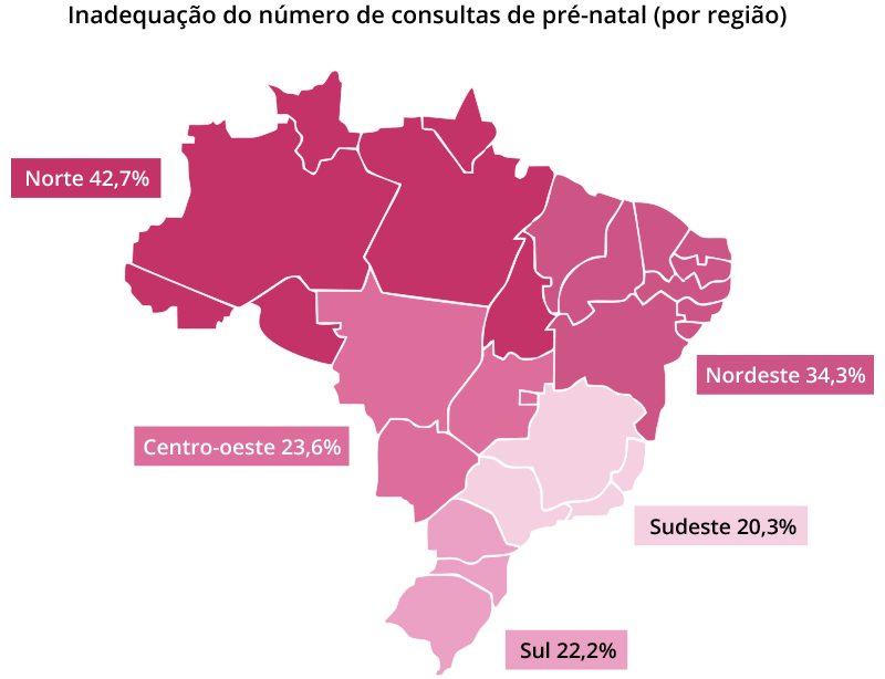 Nascer no Brasil – Saúde da mulher, da criança e do adolescente –  determinantes sociais, epidemiologia e avaliações políticas, programas e  serviços